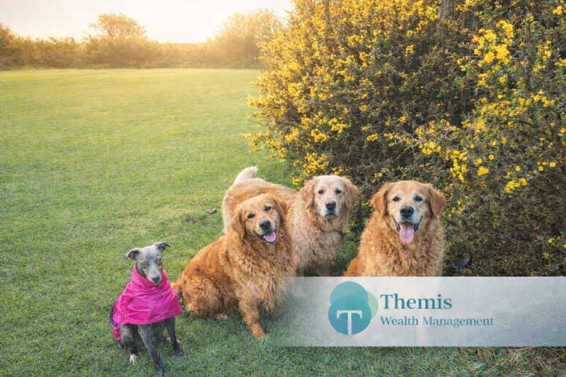 Our Barking Officers! Dogs at Themis Wealth Management